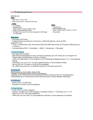 Proteinbiosynthese bei Prokaryoten und Eukaryoten: Einfach erklärt