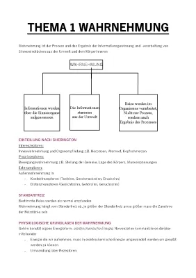 Wahrnehmungskonstanz: Definition und Beispiele für Kinder