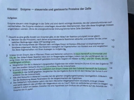 Enzyme Aufgaben + Lösungen für LK Klausur: Enzymatik, DNA-Replikation, RuBisCO, Urease