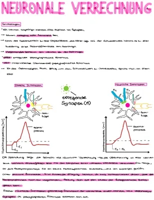 Neuronale Verrechnung: Einfach erklärt! Räumliche und Zeitliche Summation, IPSP und EPSP