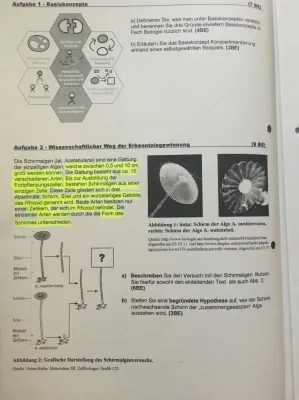 Osmose und Diffusion einfach erklärt - Zellbiologie und mikroskopische Zeichnung für Kinder