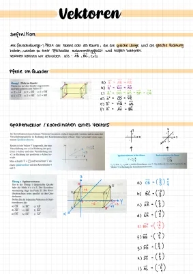 Vektoren einfach erklärt - Definition, Aufgaben und Lösungen