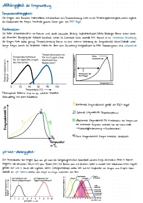 Enzyme-Enzymwirkungen-Subtratkonzentration