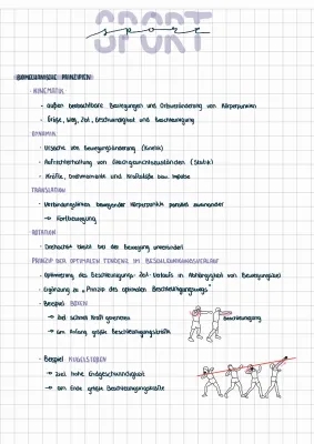 Biomechanische Prinzipien Sport PDF - 7 Biomechanische Prinzipien nach Hochmuth