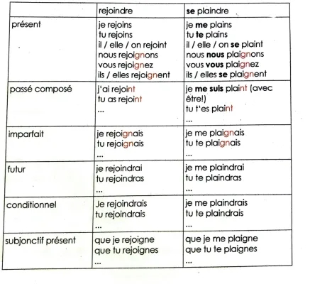 Se Plaindre et Rejoindre - Conjugaison Facile pour Enfants