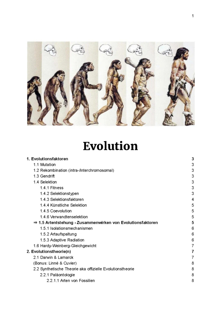 Evolution Abi