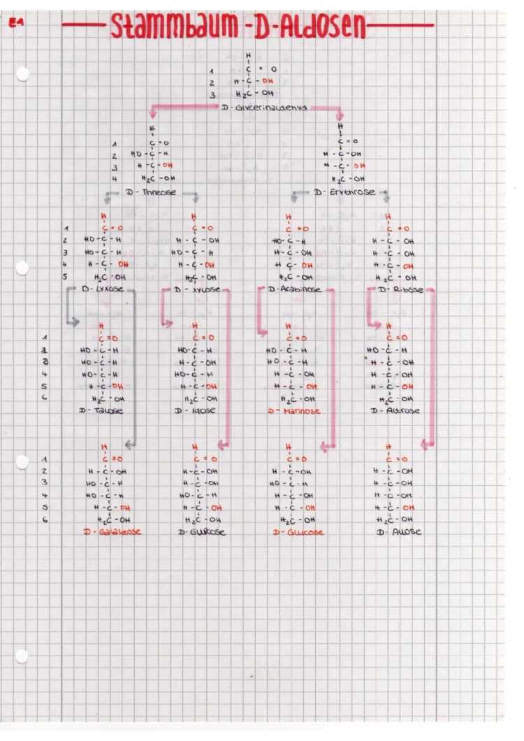 Stammbaum der D-Aldosen und Ketosen - Zucker, Fructose und Glucose einfach erklärt