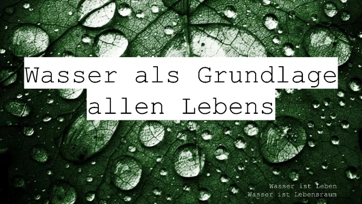 Abiotischer Faktor Wasser: Tiere, Pflanzen und Projekte zum Thema Wasser