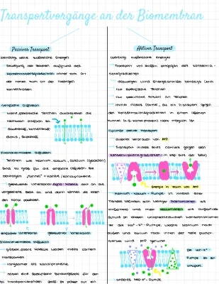 Aktiver und Passiver Transport an der Biomembran - Einfach Erklärt für Kids