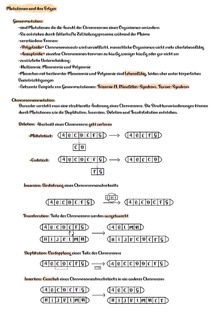 Alles über Mutationen: Genmutation, Chromosomenmutation und Genommutation