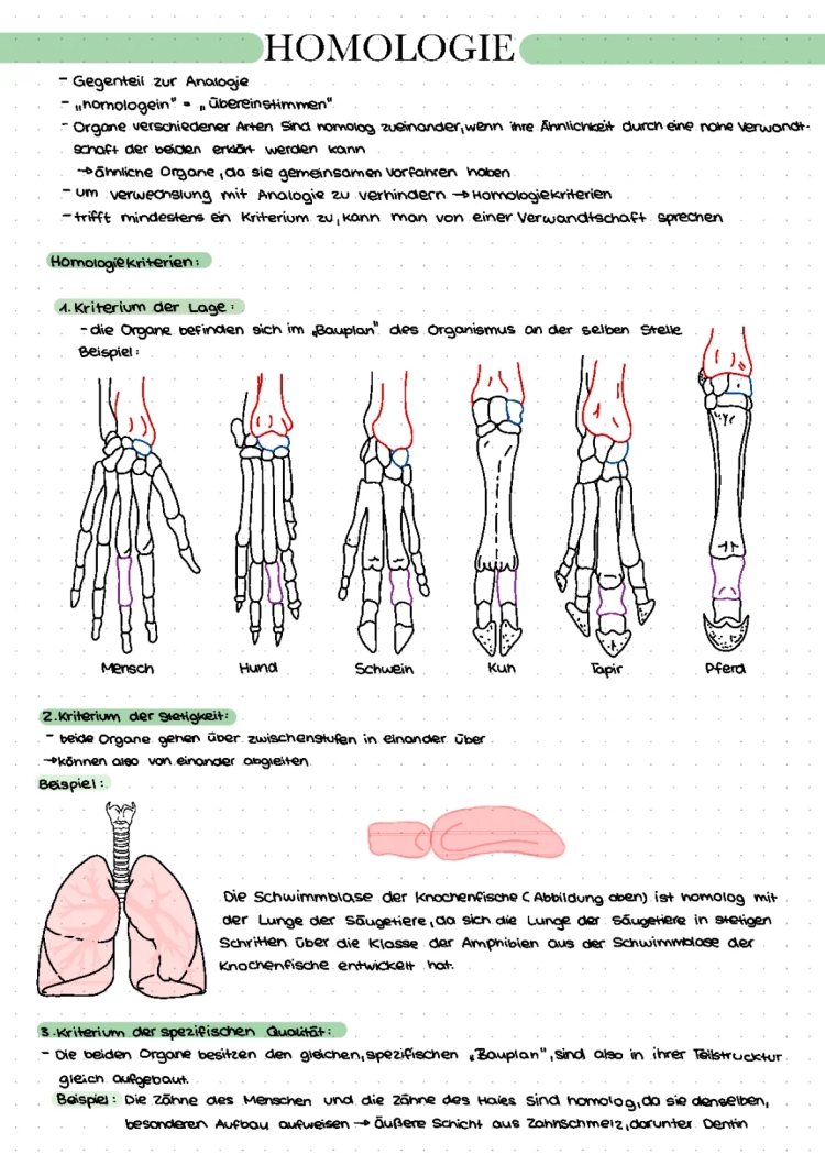 Homologie et Analogie en Biologie: Exemples et Critères Faciles