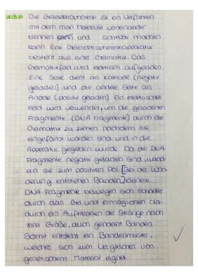 Gelelektrophorese & Insulin: Einfach erklärt