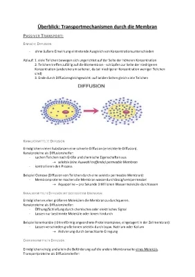 Transportmechanismen der Biomembran - Passiver und Aktiver Transport einfach erklärt