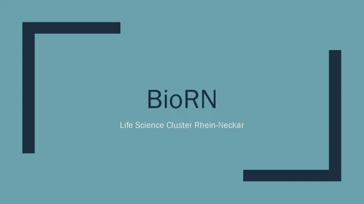 Heidelberg Biotech Firmen und BioRN Cluster – Entdecke das Life Science Wunder