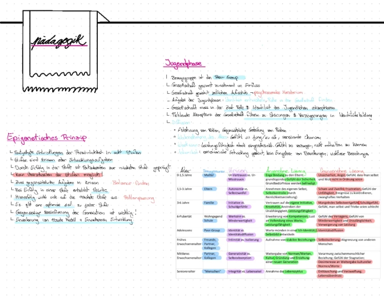 Eriksons Stufenmodell und Epigenetisches Prinzip einfach erklärt