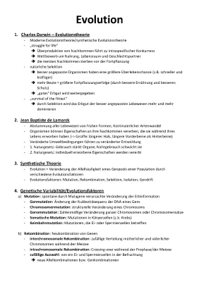 Evolution Abitur 2022: Homologie, Analogie und mehr