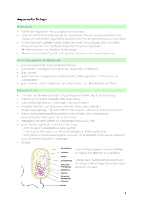 Angewandte Biologie und Gentransfer einfach erklärt - Was ist die Arbeit und was kann man damit machen?