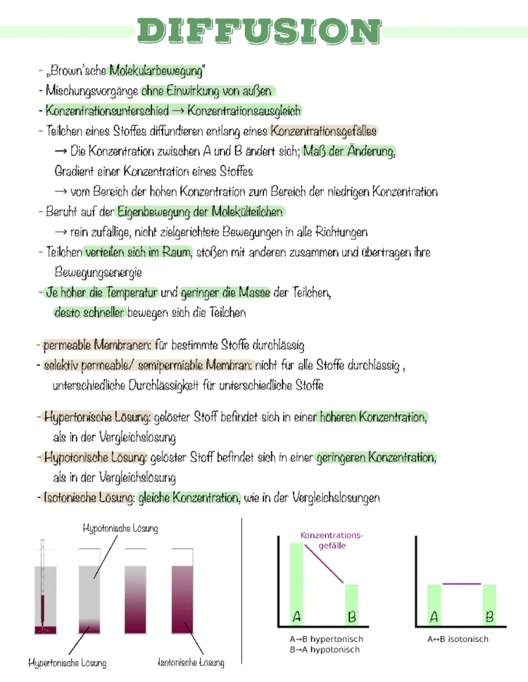 Osmose und Diffusion einfach erklärt - Beispiele und Unterschiede