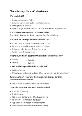 DNA vs RNA: Unterschied einfach erklärt und Funktionen