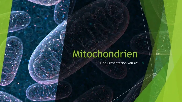 Mitochondrien Aufbau und Funktion: Einfach erklärt für Kids!