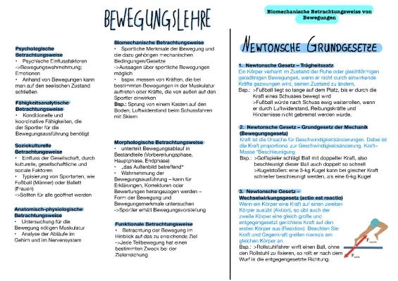 Biomechanik im Sport: Biomechanische Prinzipien und Newtonsche Gesetze einfach erklärt