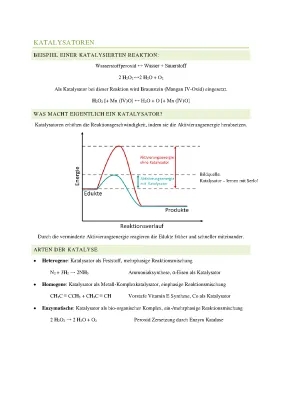 Understanding Catalysts: Easy Examples in Chemistry and Cars