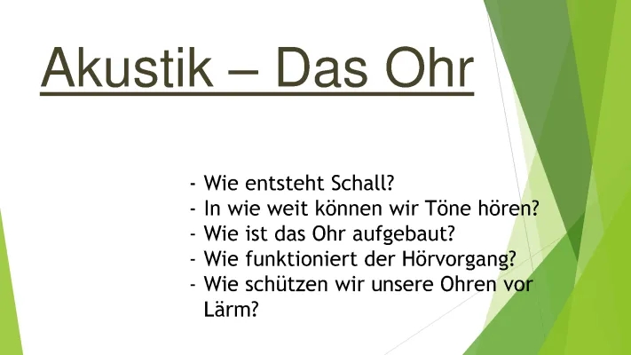 Das Ohr: Aufbau, Funktion und Hörvorgang einfach erklärt