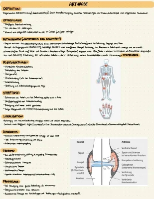 Die Wunderwaffe gegen Arthrose: So einfach ist Arthrose zu heilen!