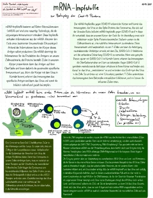 Wie funktioniert der mRNA-Impfstoff gegen Corona?