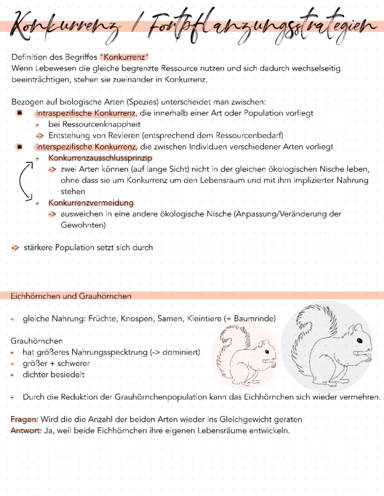 Konkurrenzstrategien und Fortpflanzungsstrategien: Intraspezifische und Interspezifische Beziehungen mit Eichhörnchenbeispielen