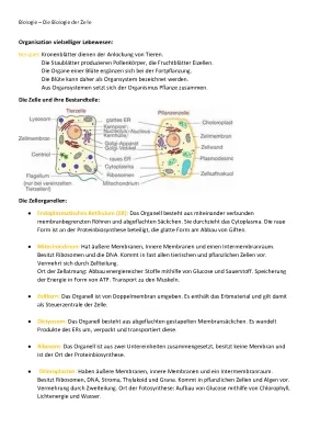 Vergleich Tierische und Pflanzliche Zelle - Aufbau, Funktionen und Unterschiede