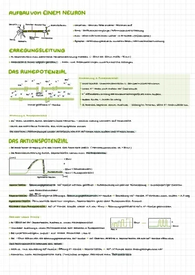 Synapsengifte, Drogen und Gedächtnis - Einfach erklärt für Schüler