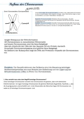 Chromosom Aufbau und Funktion - Einfach erklärt für Kinder