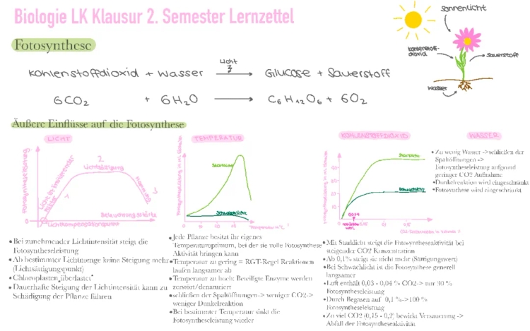 How Light, Water, and CO2 Affect Photosynthesis - Easy Guide