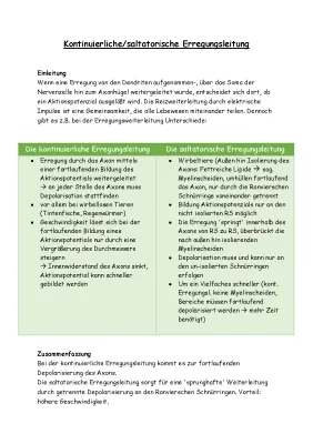 Kontinuierliche und saltatorische Erregungsleitung einfach erklärt - Tabelle, Vorteile und Definition