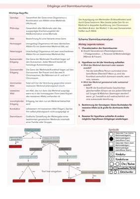 Stammbaumanalyse Übungen und Lösungen für Klasse 10 | PDF und Arbeitsblatt