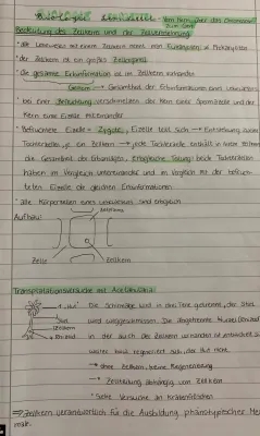 Das Acetabularia Experiment: Zellkern einfach erklärt