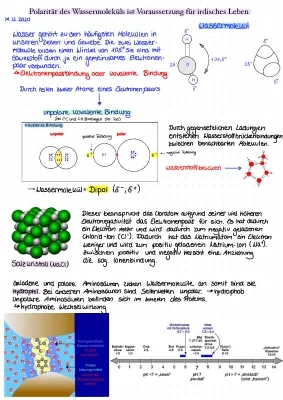 Polarität des Wassermoleküls 