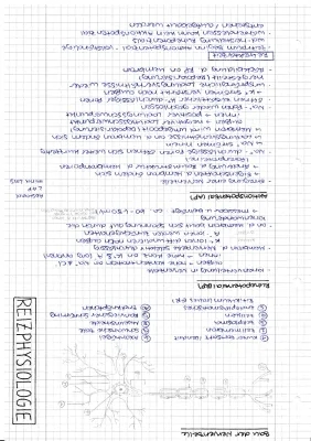 Nervenzelle Aufbau & Funktion: Arbeitsblatt und Tabellen