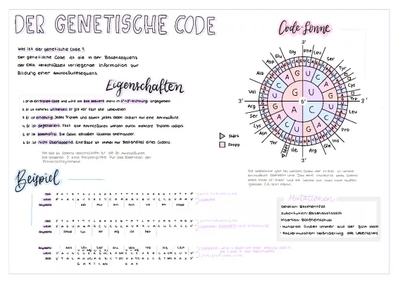 Genetischer Code und Proteinbiosynthese einfach erklärt