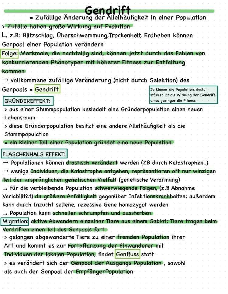 Gendrift y Flaschenhalseffekt: ¡Explicación Fácil con Ejemplos!