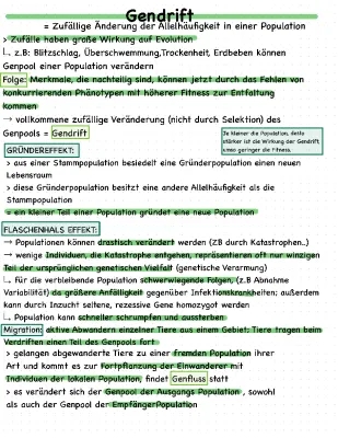 Gendrift y Flaschenhalseffekt: ¡Explicación Fácil con Ejemplos!