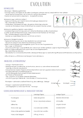 Homologie und Analogie: Beispiele, Organe & Kriterien für Biologie