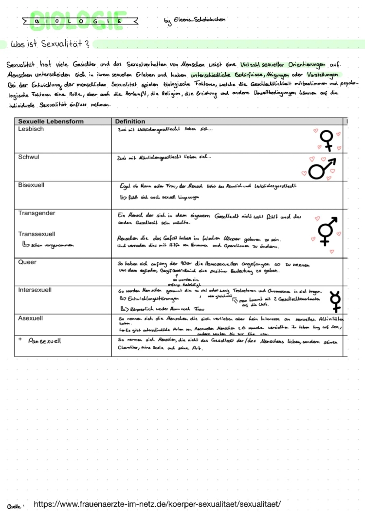 Sexuelle Identität und Orientierung einfach erklärt: Beispiele und Listen