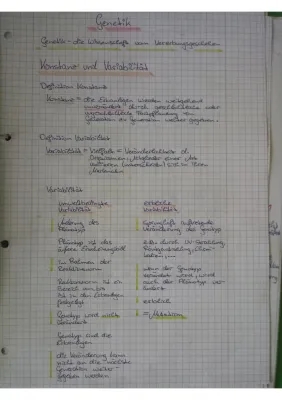 Genetische Variabilität und Mutationen einfach erklärt: Beispiele und Definitionen für Kinder