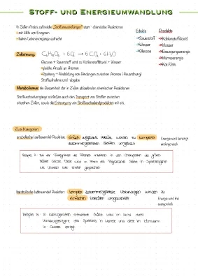 Chemische Reaktionen und Stoffwechsel einfach erklärt für Klasse 7-8