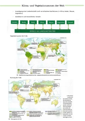 Erdkunden Arbeitsblatt: Klima- und Vegetationszonen, Klimadiagramme, Gradnetz der Erde