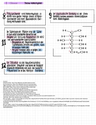 Alles über Kohlenhydrate: Einfachzucker, Zweifachzucker & Mehrfachzucker