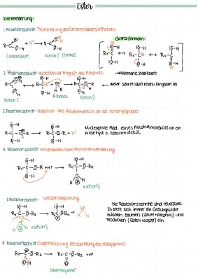 Veresterung und Esterspaltung einfach erklärt – Mechanismus, Beispiele, Arbeitsblatt