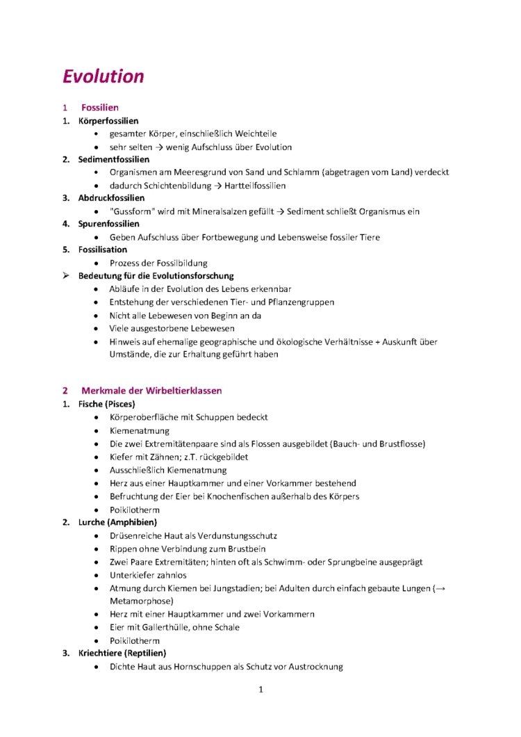 Evolution and Fossils Summary PDF for Bio Abi